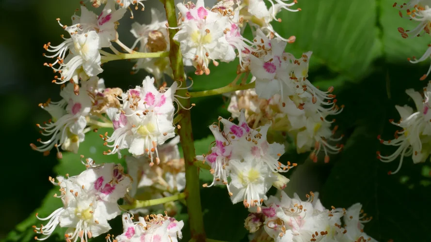 2023-05-18_0980_1920x1080.webp 2023-05-18_0980_1920x1080.webp