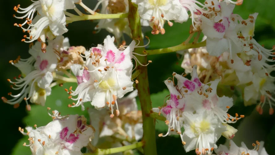 2023-05-18_0980_1920x1080_50.webp 2023-05-18_0980_1920x1080_50.webp