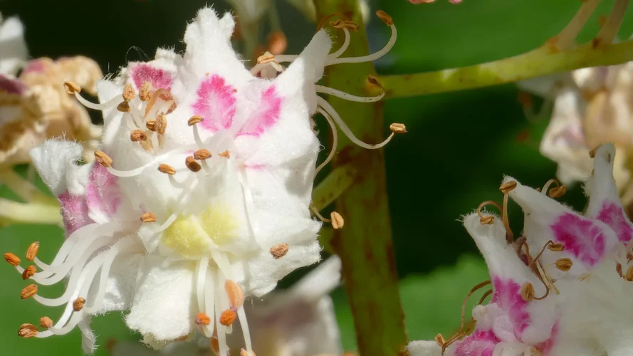 2023-05-18_0980_1920x1080_100.webp 2023-05-18_0980_1920x1080_100.webp