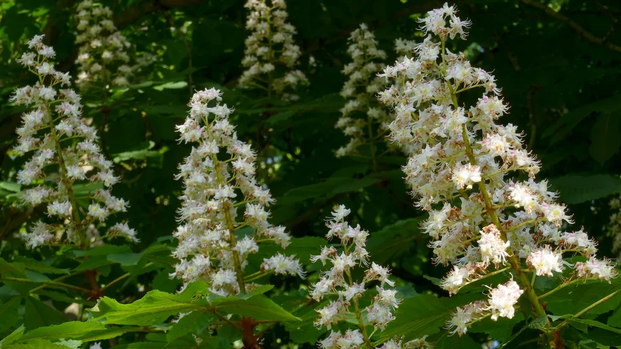 2023-05-18_2_0973_1920x1080_50.webp 2023-05-18_2_0973_1920x1080_50.webp