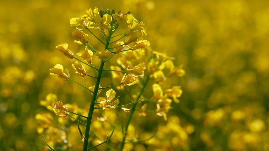 2023-05-19_1051_1920x1080.webp 2023-05-19_1051_1920x1080.webp