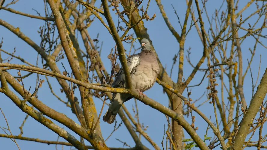 2023-05-19_1114_1920x1080.webp 2023-05-19_1114_1920x1080.webp