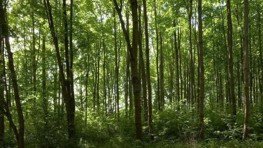 2023-05-18_0934_1920x1080.webp 2023-05-18_0934_1920x1080.webp