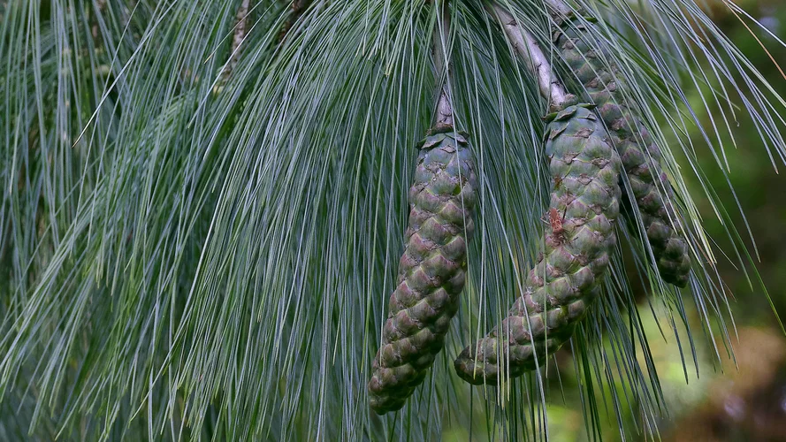 2023-05-18_0954_1920x1080_5.webp 2023-05-18_0954_1920x1080_5.webp