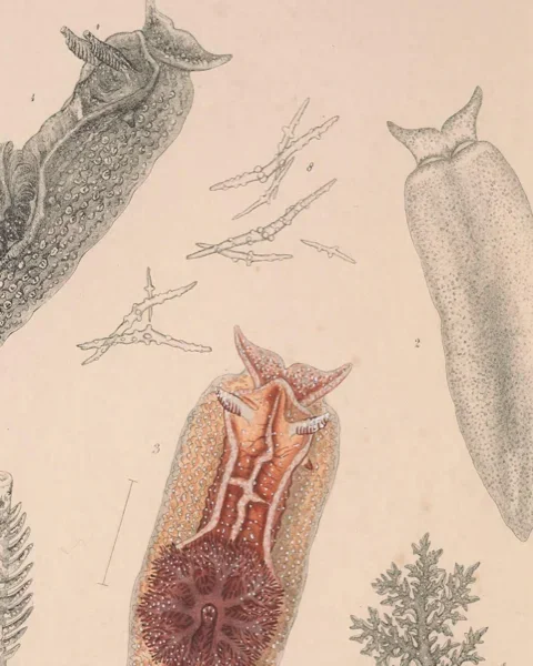 Compilation_#03_Google_Drive_Call_Picture_01.png Compilation_#03_Google_Drive_Call_Picture_01.png