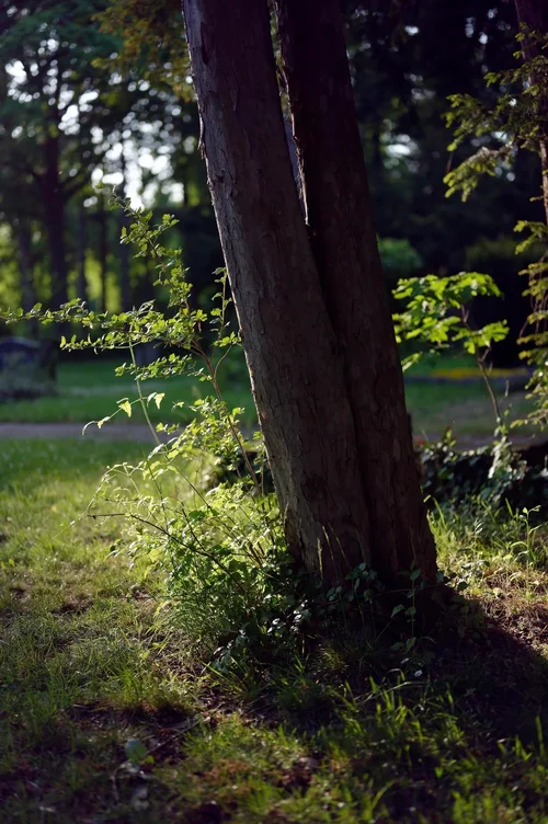 IMG_2633.jpeg IMG_2633.jpeg