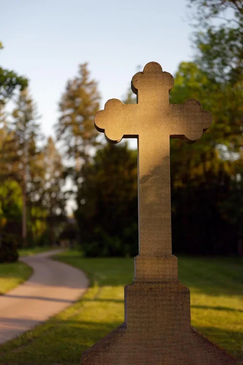 IMG_2630.webp IMG_2630.webp