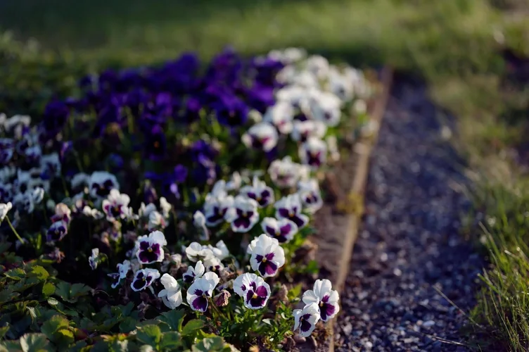 IMG_2631.webp IMG_2631.webp