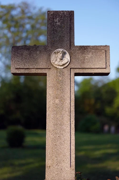 IMG_2629.webp IMG_2629.webp