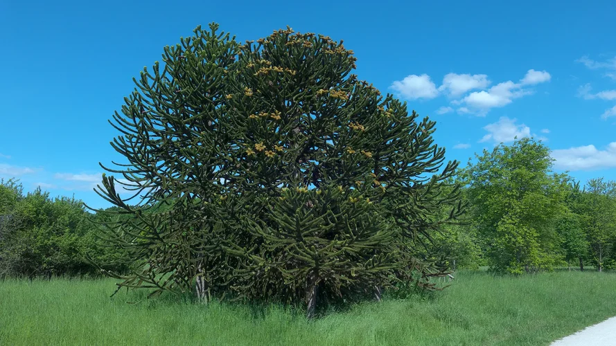 2023-05-18_0893_1920x1080_3.webp 2023-05-18_0893_1920x1080_3.webp