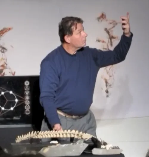 1685725240383.webp 1685725240383.webp