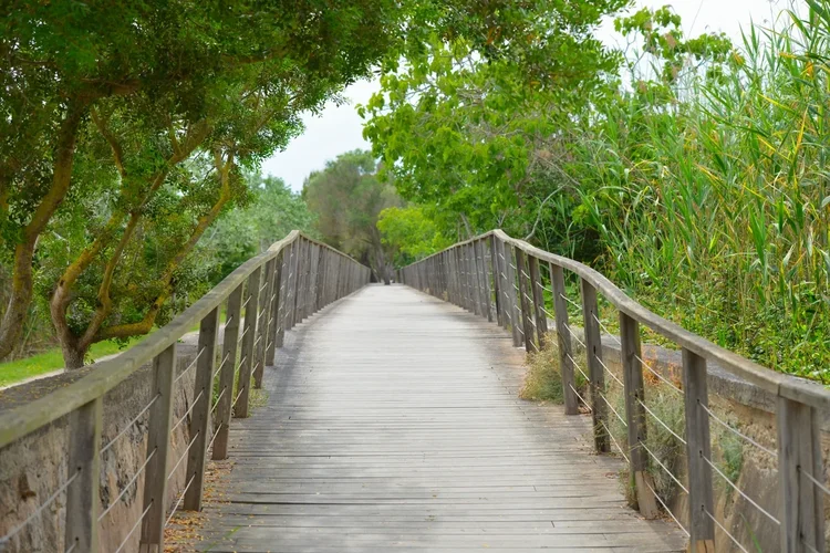 DSC_1051.jpg DSC_1051.jpg