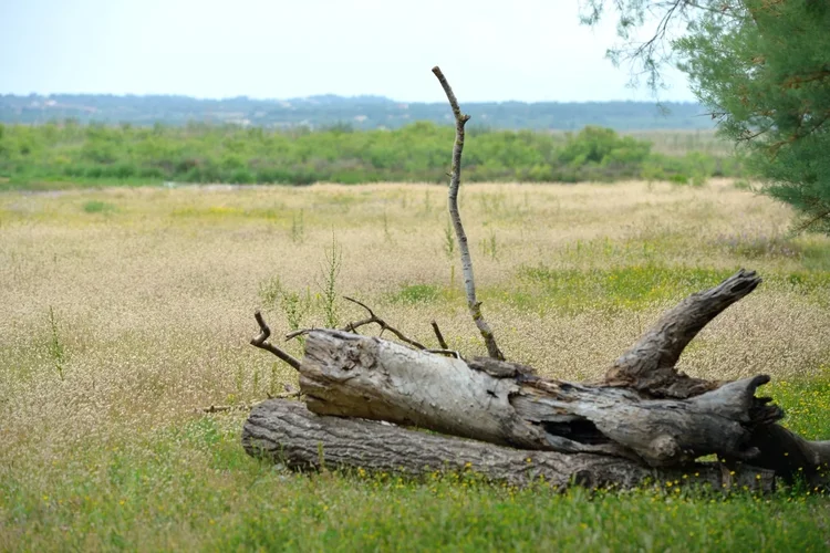 DSC_1053.jpg DSC_1053.jpg