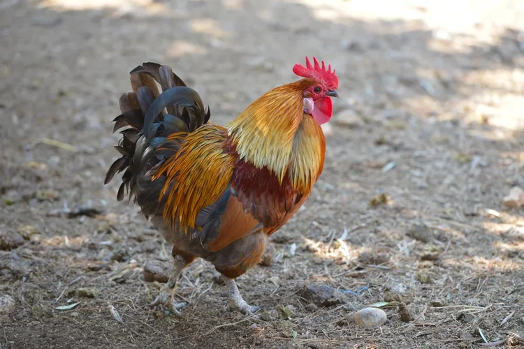 DSC_1508.webp DSC_1508.webp