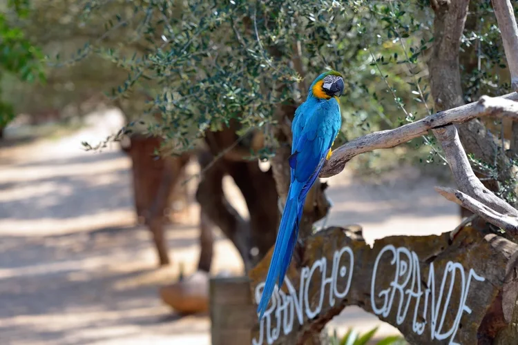 DSC_1468.webp DSC_1468.webp