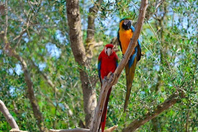 DSC_1470.webp DSC_1470.webp