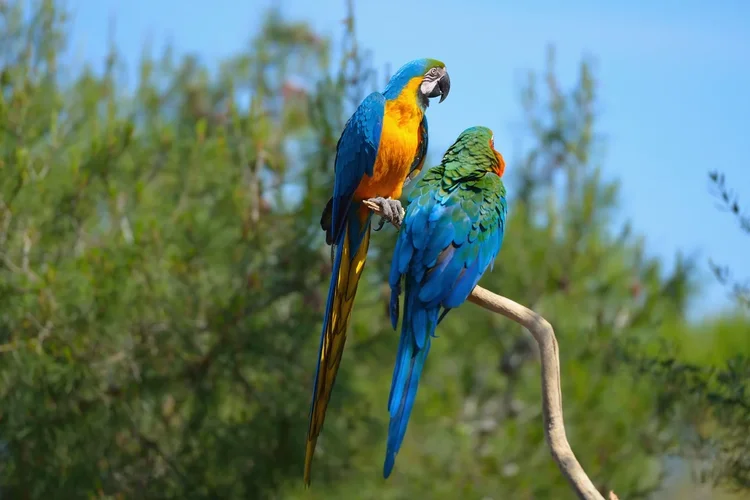 DSC_1471.webp DSC_1471.webp