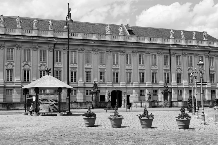 DSC_0518_DxO-1.webp DSC_0518_DxO-1.webp