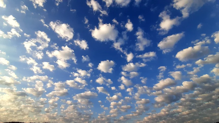 20230615_062322.webp 20230615_062322.webp