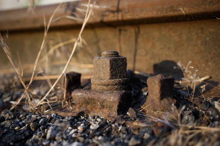 DSC_0616_DxO.webp DSC_0616_DxO.webp