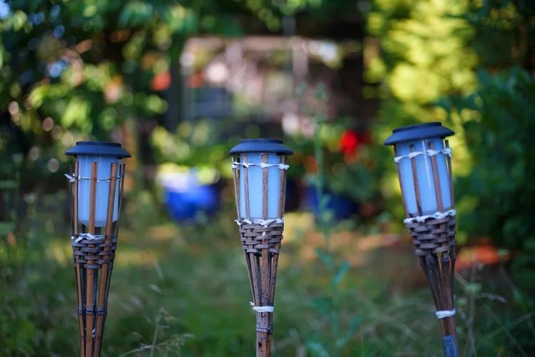 DSC00232.webp DSC00232.webp