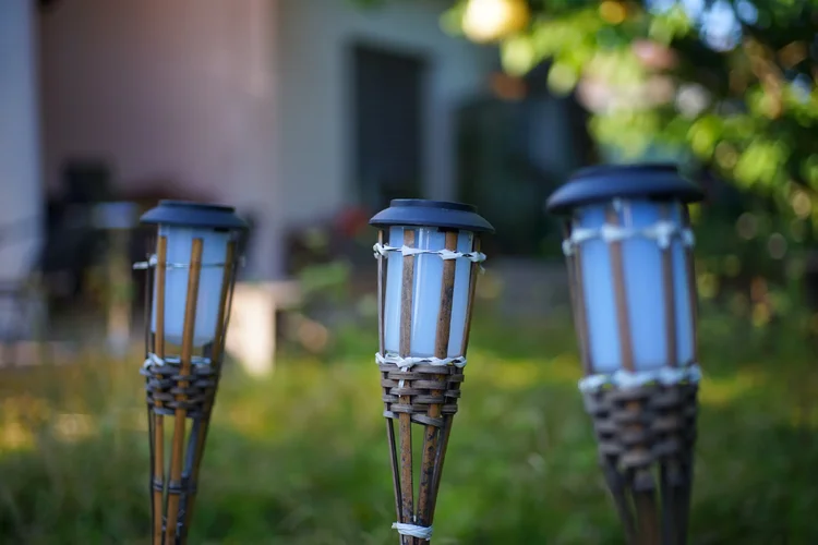 DSC00233.webp DSC00233.webp