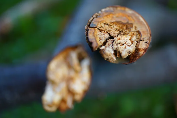 DSC00235.webp DSC00235.webp