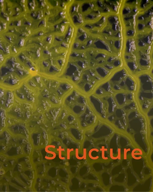 Compilation_#03_Instagram_Fact_Post_02_01.webp Compilation_#03_Instagram_Fact_Post_02_01.webp