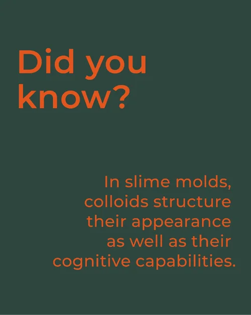 Compilation_#03_Instagram_Fact_Post_02_03.webp Compilation_#03_Instagram_Fact_Post_02_03.webp