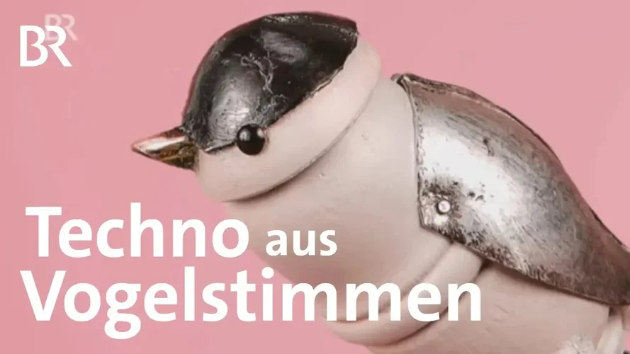 Dominik Eulberg macht Musik mit der Natur.webp