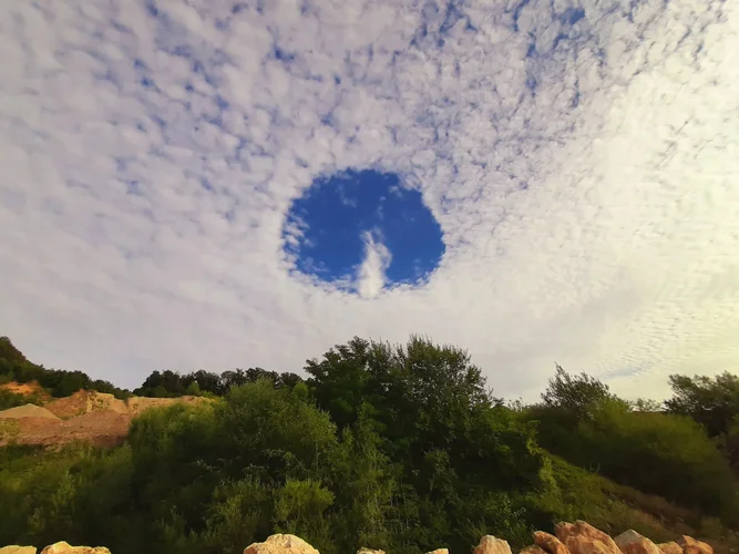 20230723_080722.jpg 20230723_080722.jpg