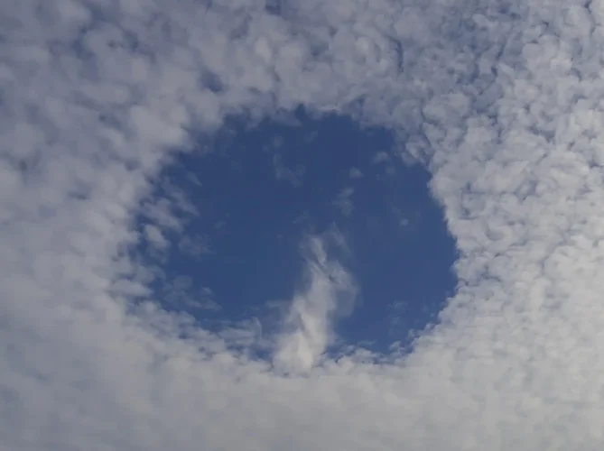 20230723_080809.webp 20230723_080809.webp