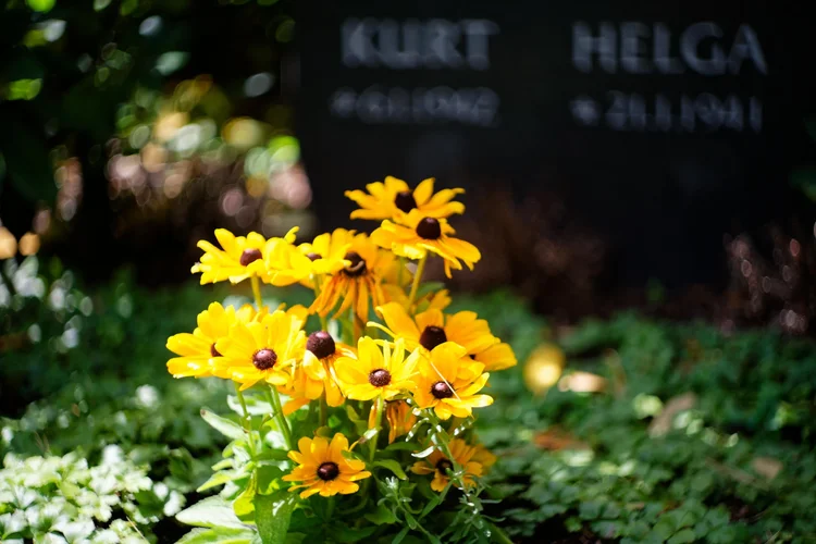 DSC_9253_DxO-2.jpg DSC_9253_DxO-2.jpg