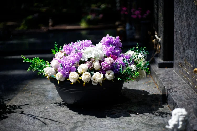 DSC_9268_DxO-1.jpg DSC_9268_DxO-1.jpg