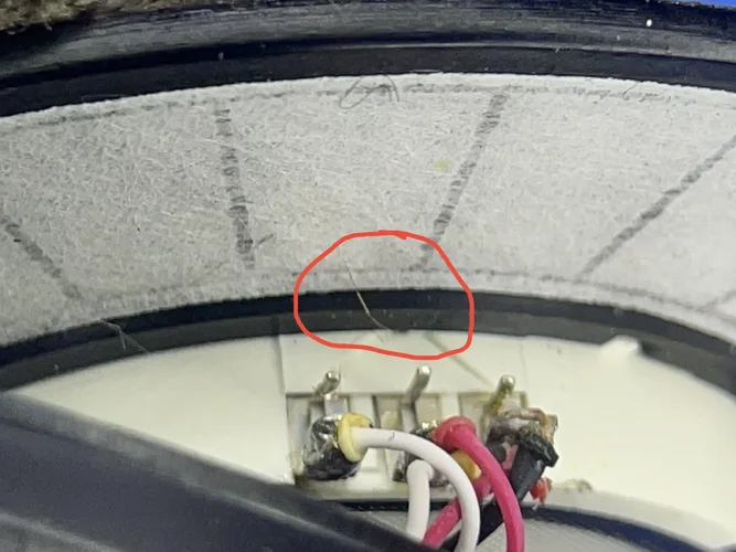 IMG_6448.webp IMG_6448.webp