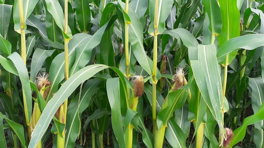 20230809_184046_1920x1080.webp 20230809_184046_1920x1080.webp