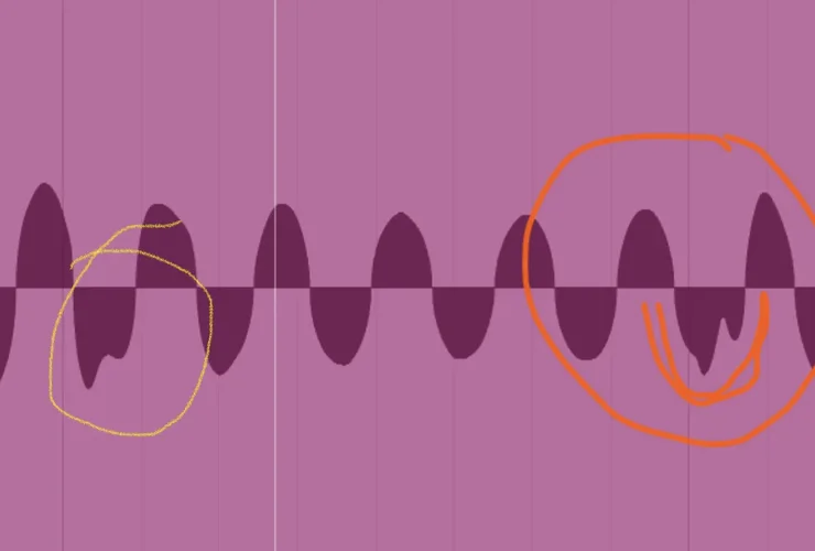 IMG_1032.webp IMG_1032.webp