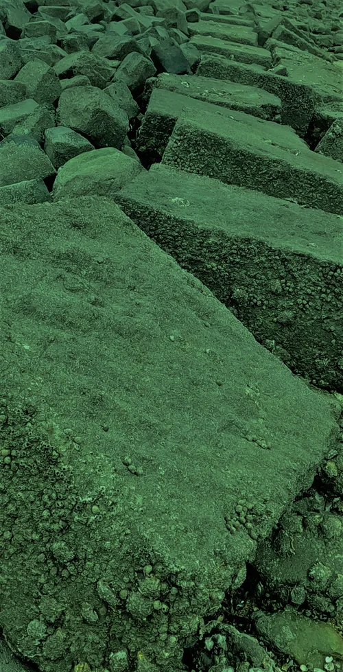 GOPR0147_2x.jpg GOPR0147_2x.jpg