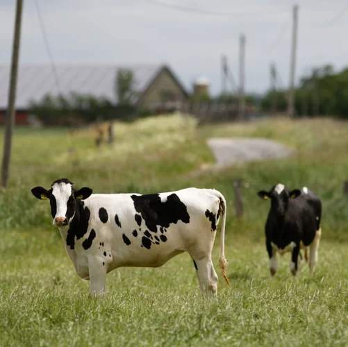 ALJ_9886_DxO.jpeg ALJ_9886_DxO.jpeg