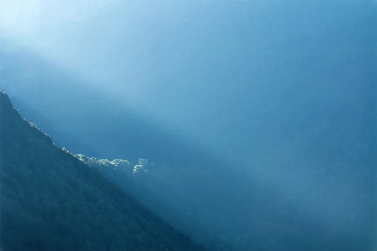 D71_4488b1.webp D71_4488b1.webp