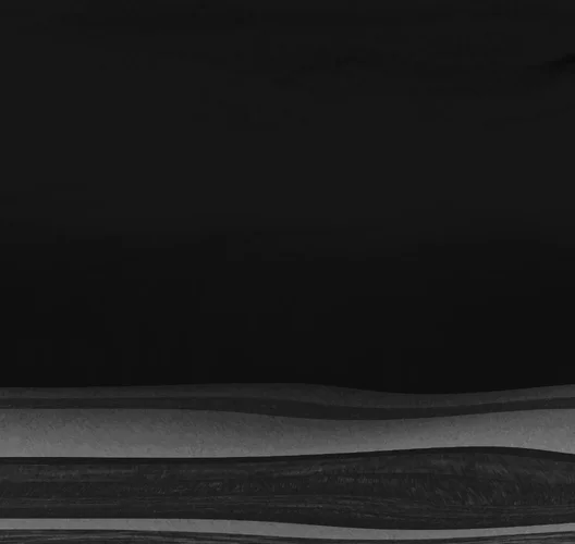 silkis cases (2).jpg