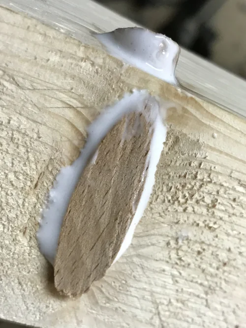 IMG_6979.webp IMG_6979.webp