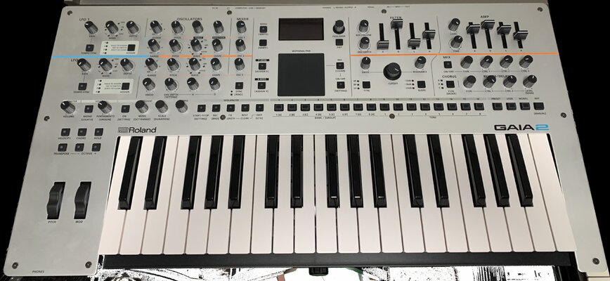 Roland Gaia 2.jpg