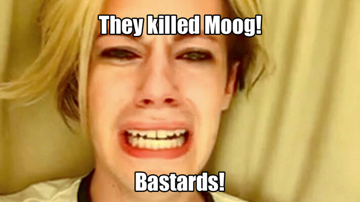 they killed moog.jpg