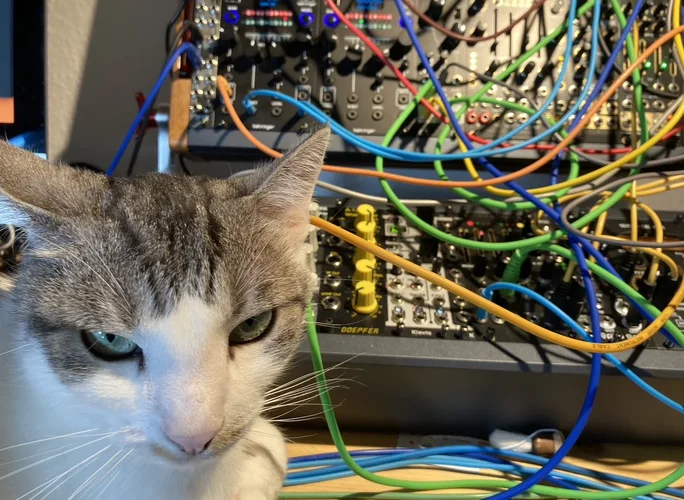 1697202833281.webp 1697202833281.webp