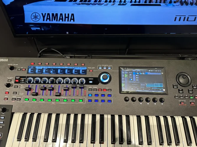 IMG_8091.jpeg IMG_8091.jpeg