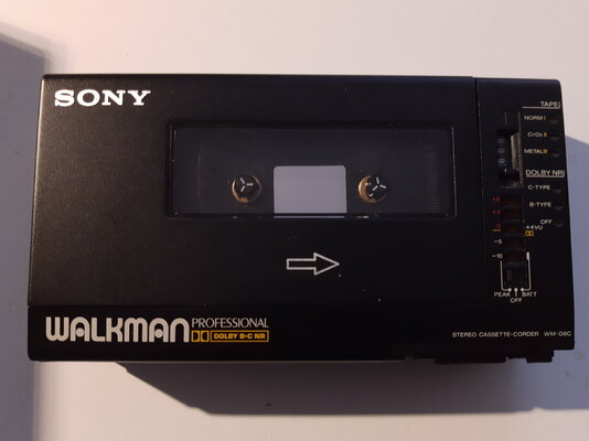 WALKMAN 1.jpg