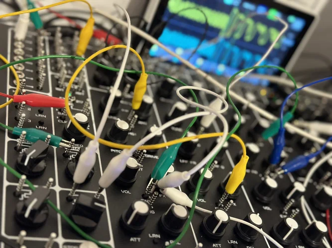 IMG_4415.webp IMG_4415.webp