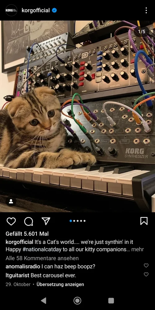 1000056374.webp 1000056374.webp