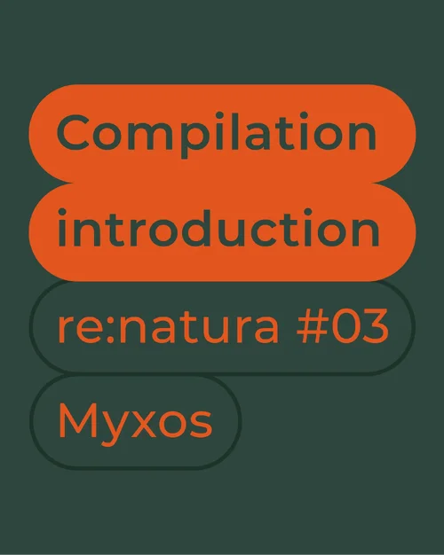 Compilation_#03_Instagram_Introduction.webp Compilation_#03_Instagram_Introduction.webp